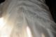 k-DSC_8745.jpg