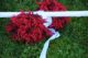 k-DSC_8859.jpg