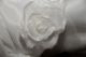 k-DSC_9168.jpg