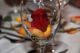 k-DSC_9227.jpg
