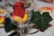 k-DSC_9229.jpg