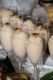 k-DSC_9284.jpg