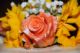 k-DSC_9288.jpg