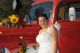 k-DSC_8261.jpg
