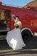 k-DSC_8274.jpg