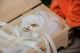 k-DSC_8589.jpg