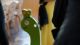 k-DSC04329.JPG